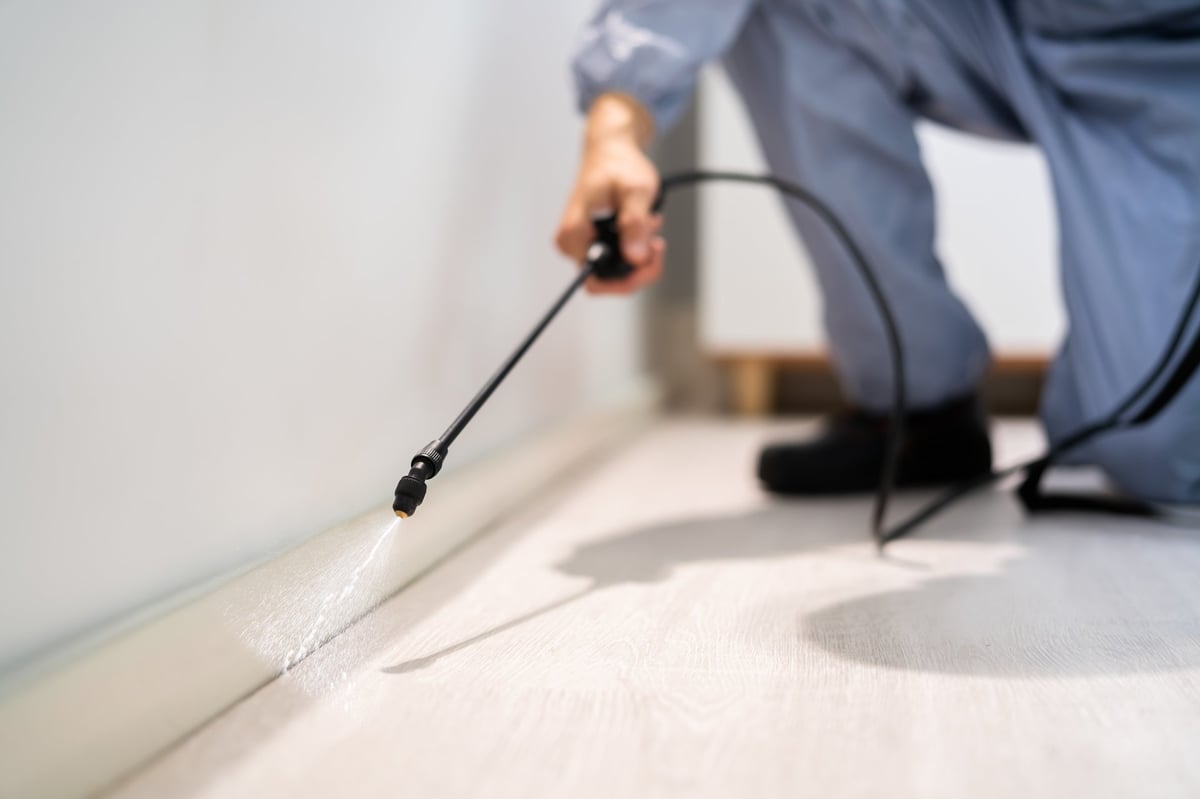 Residential Pest Control