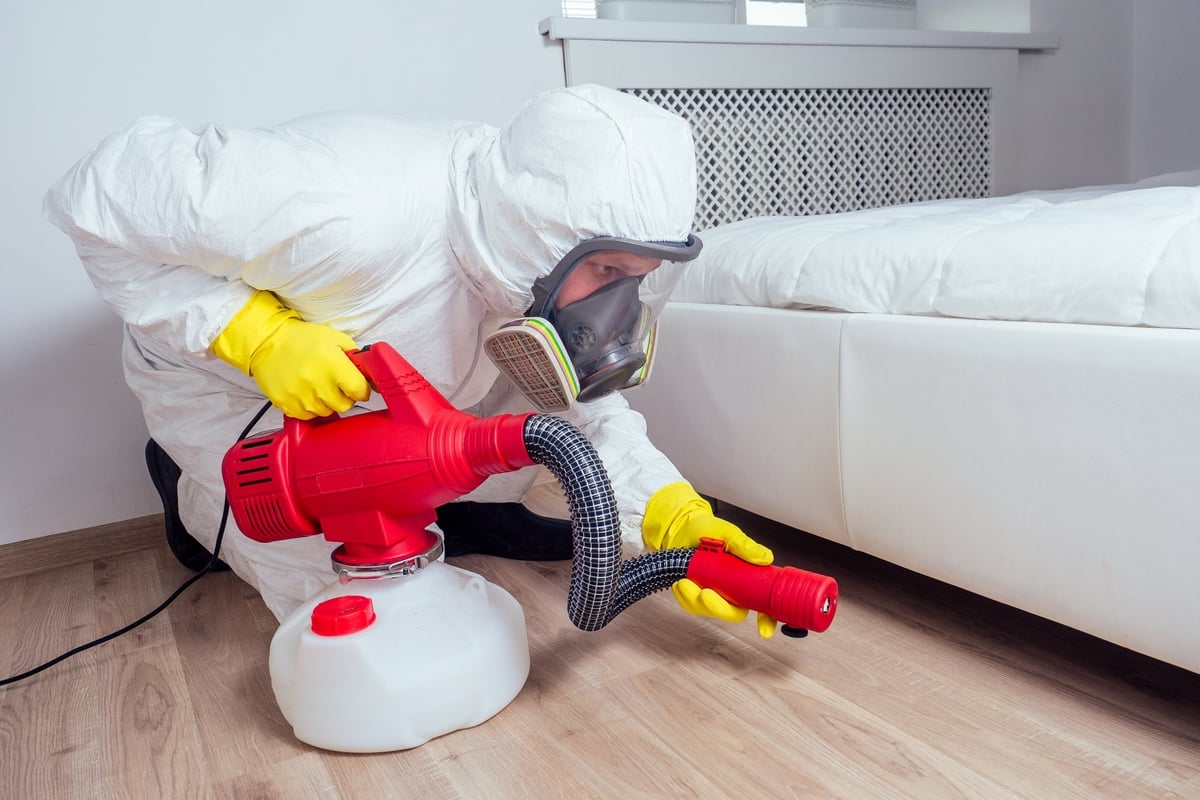 Pest control technician treating a home interior